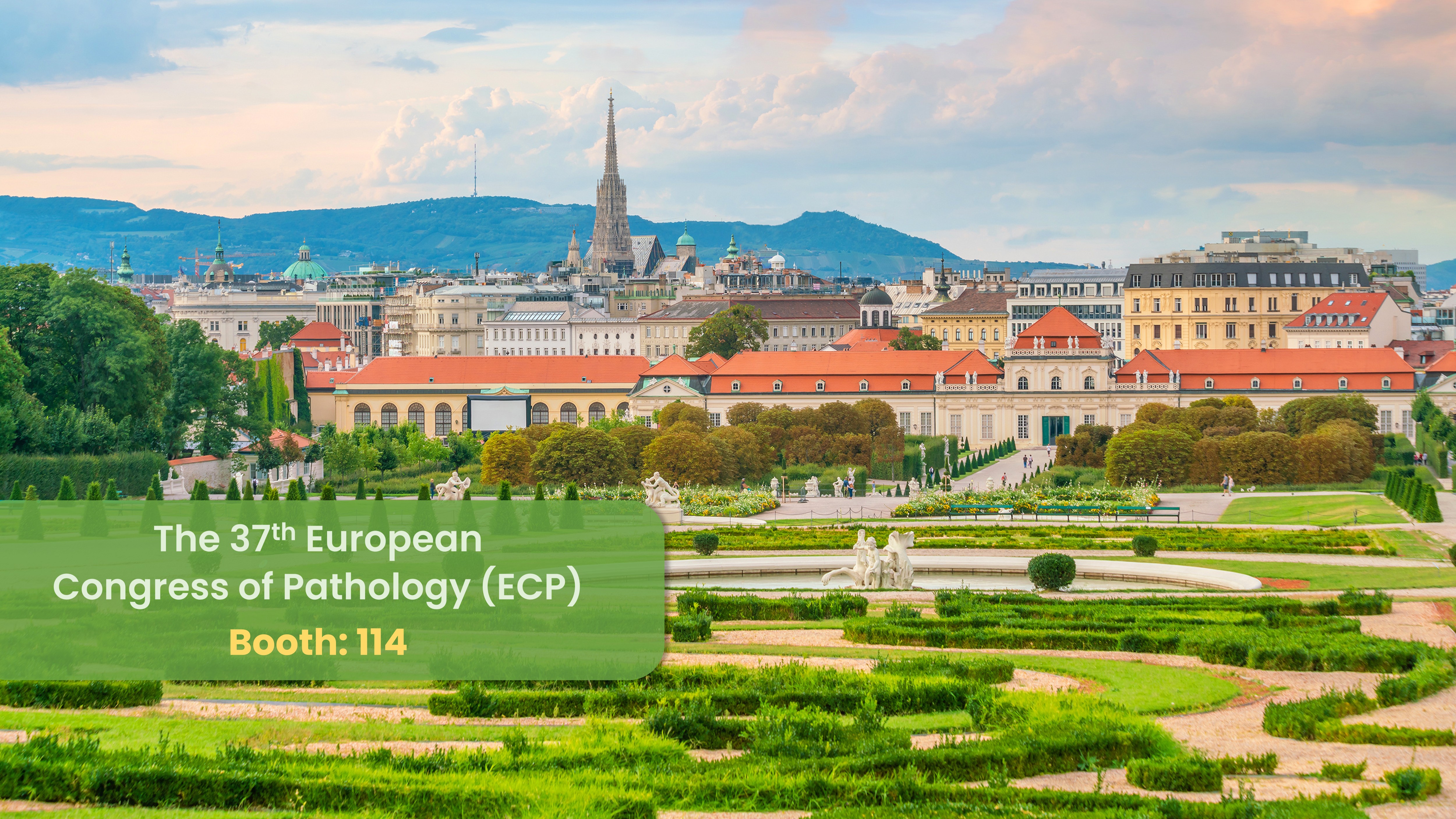 The 37th European Congress of Pathology (ECP）